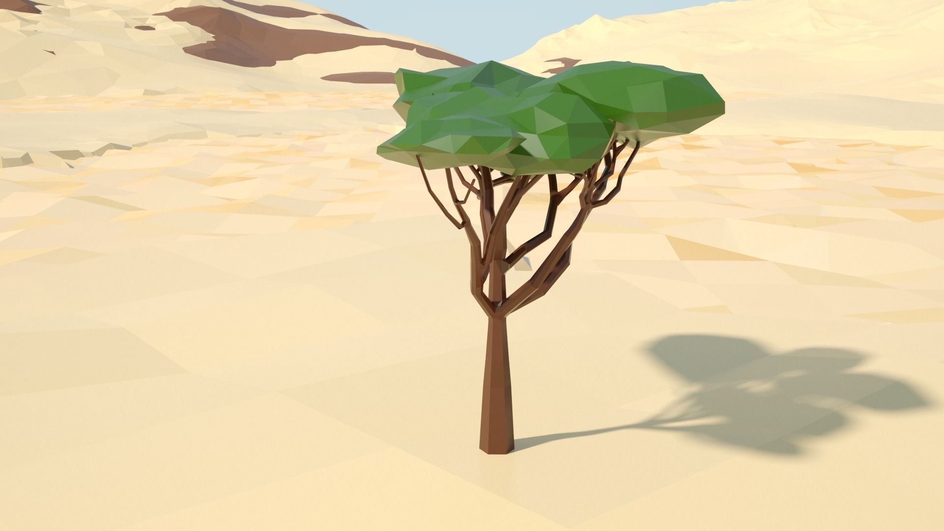 Acacia tree stylized model Low-poly 3D model_2