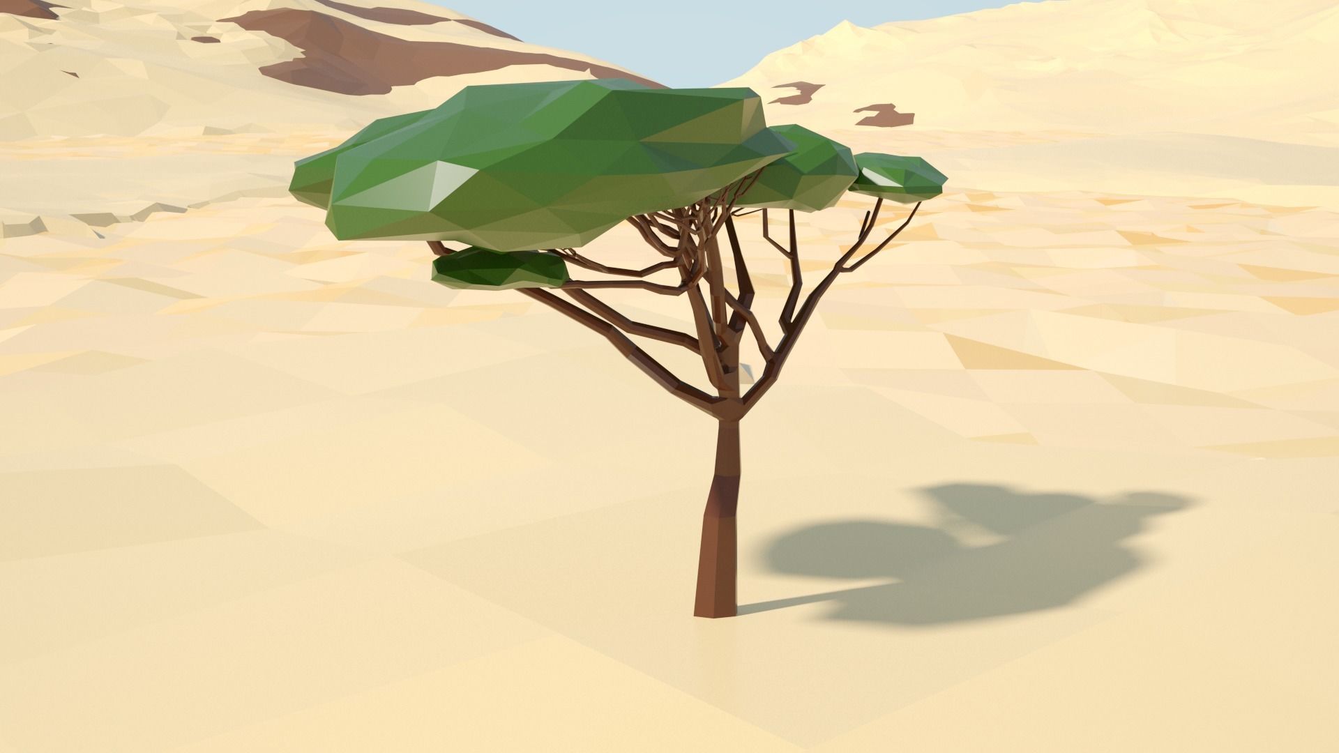 Acacia tree stylized model Low-poly 3D model_17