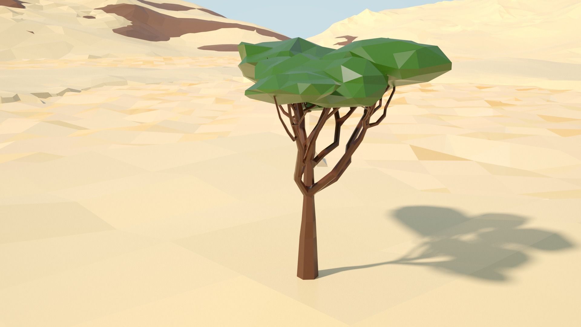 Acacia tree stylized model Low-poly 3D model_14