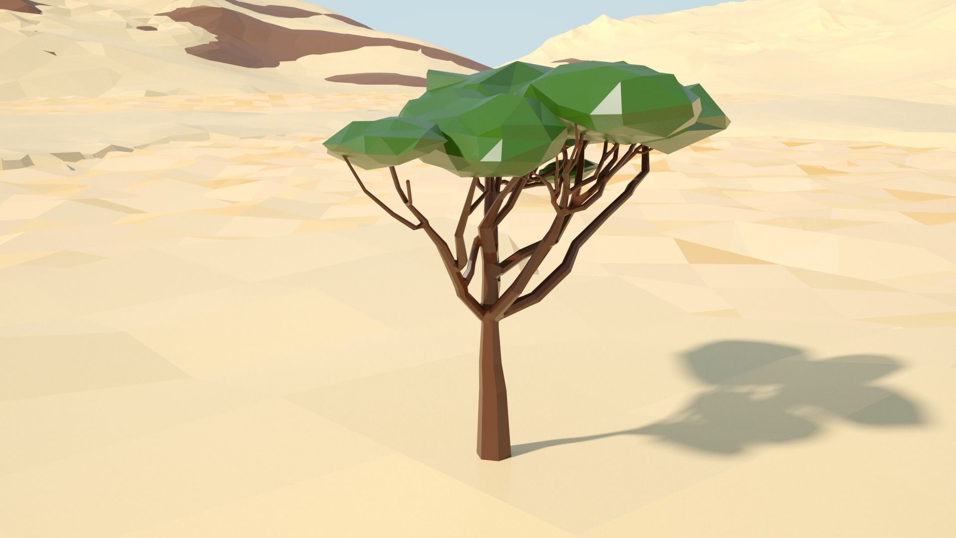 Acacia tree stylized model Low-poly 3D model_10