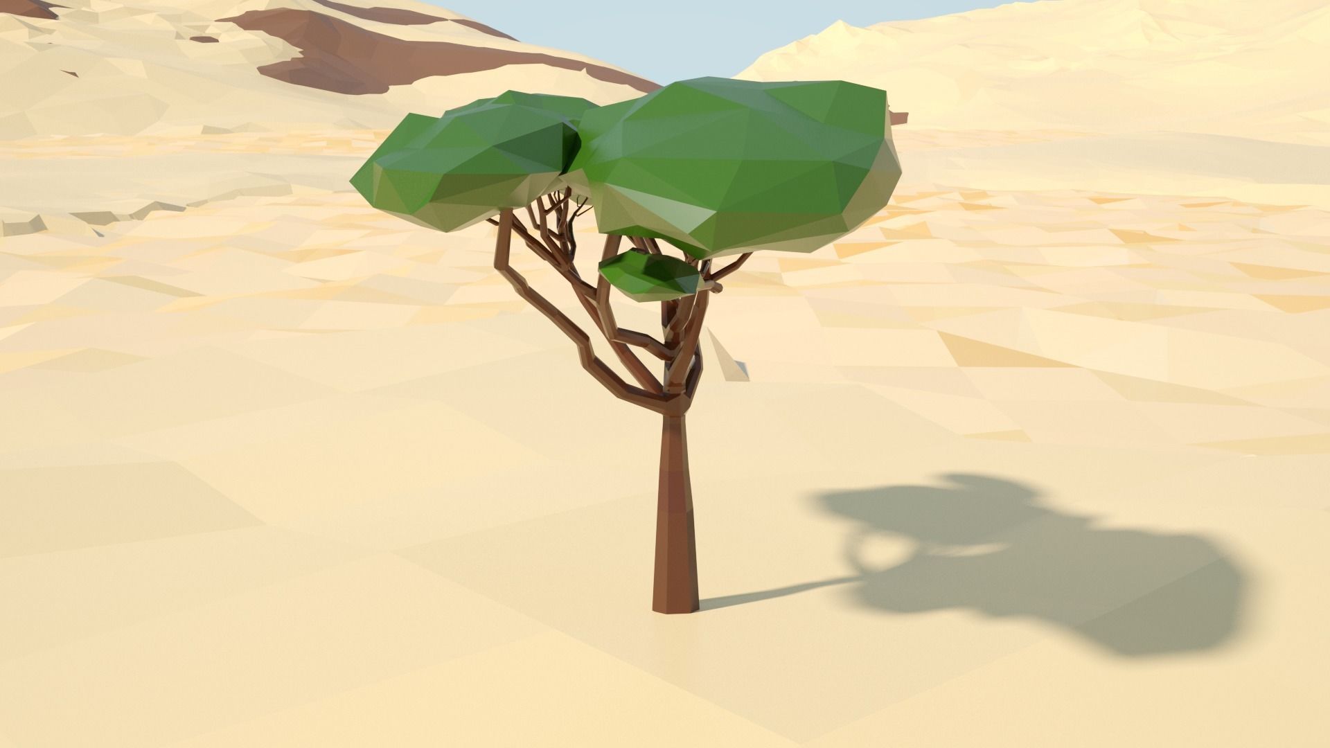 Acacia tree stylized model Low-poly 3D model_26