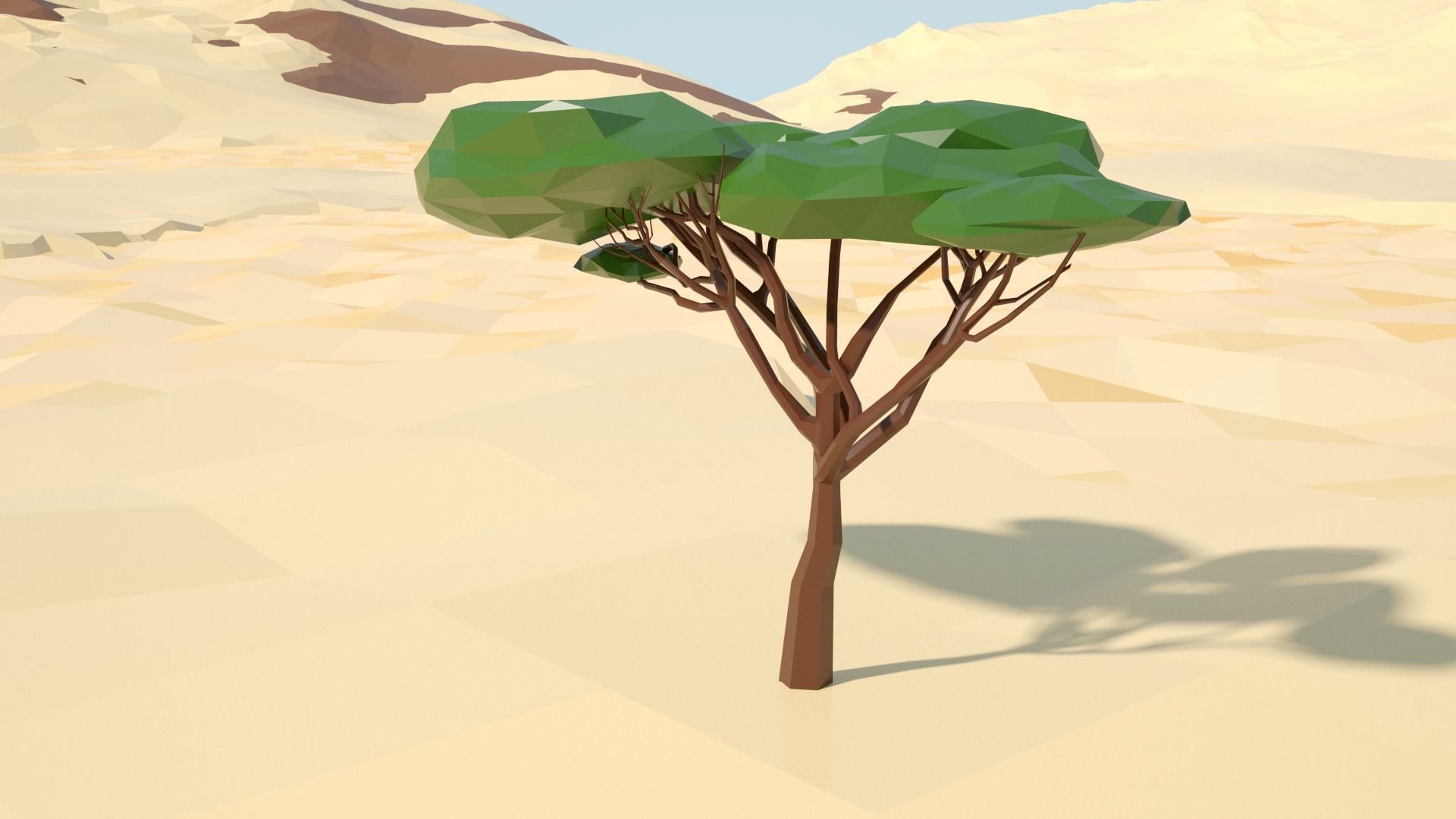 Acacia tree stylized model Low-poly 3D model_42