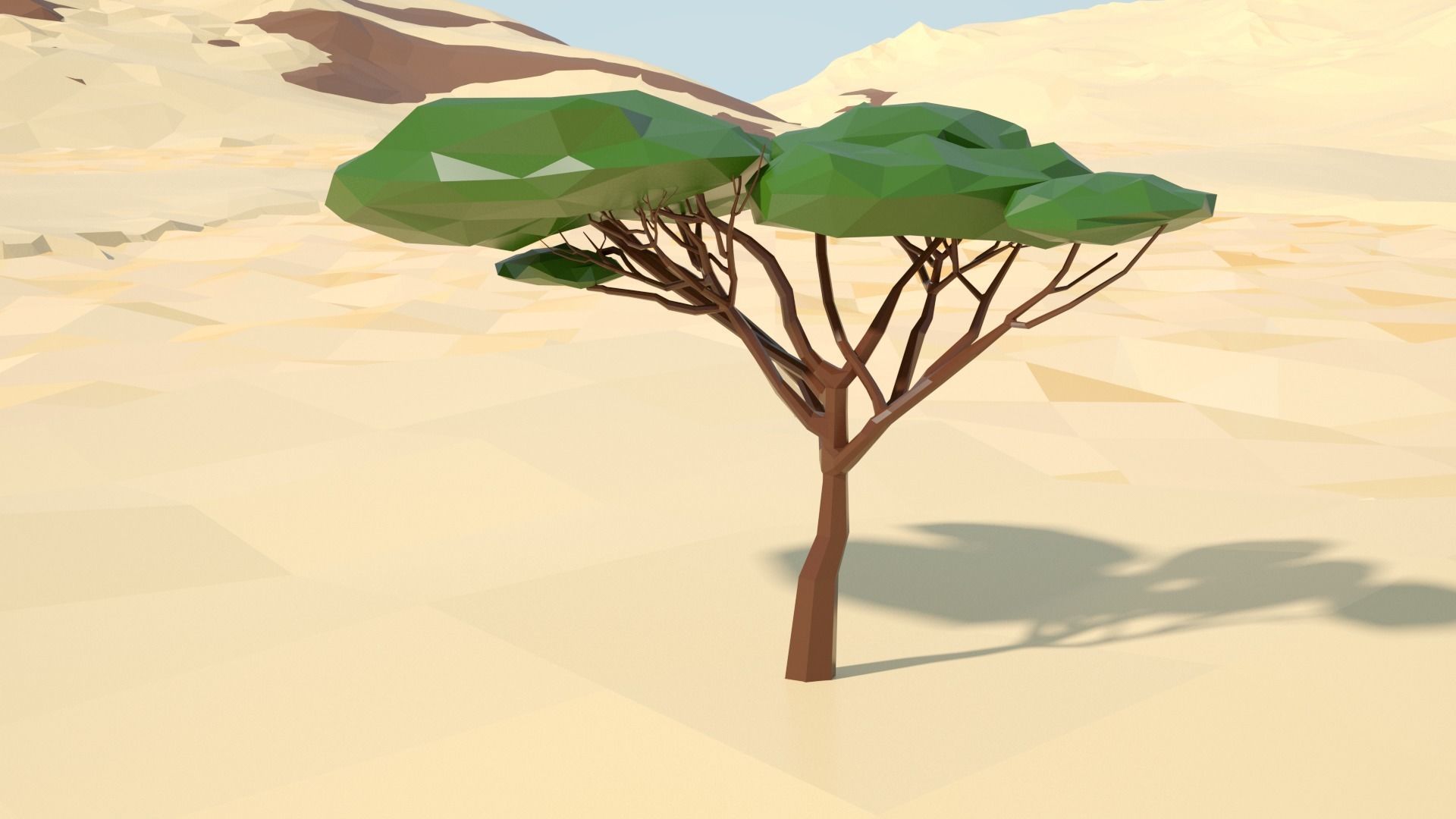 Acacia tree stylized model Low-poly 3D model_36