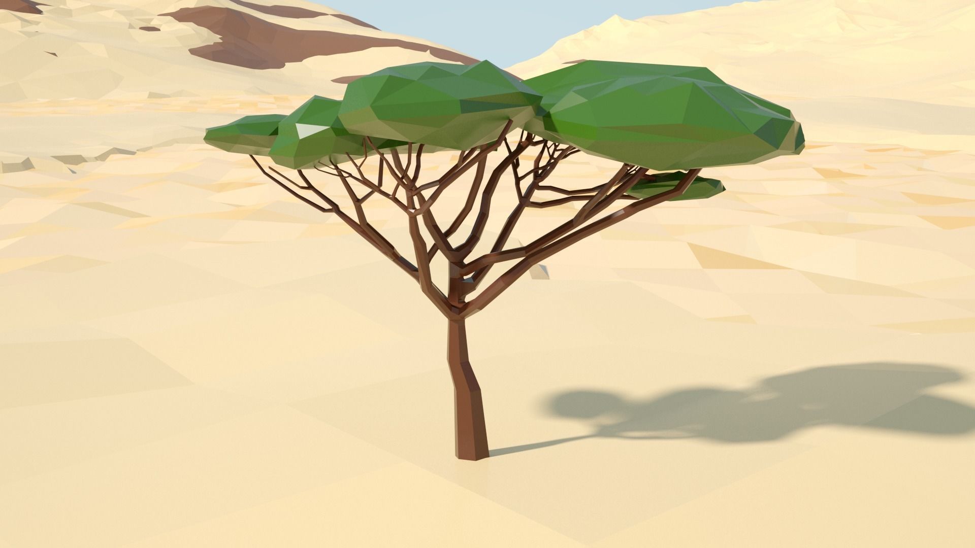 Acacia tree stylized model Low-poly 3D model_62