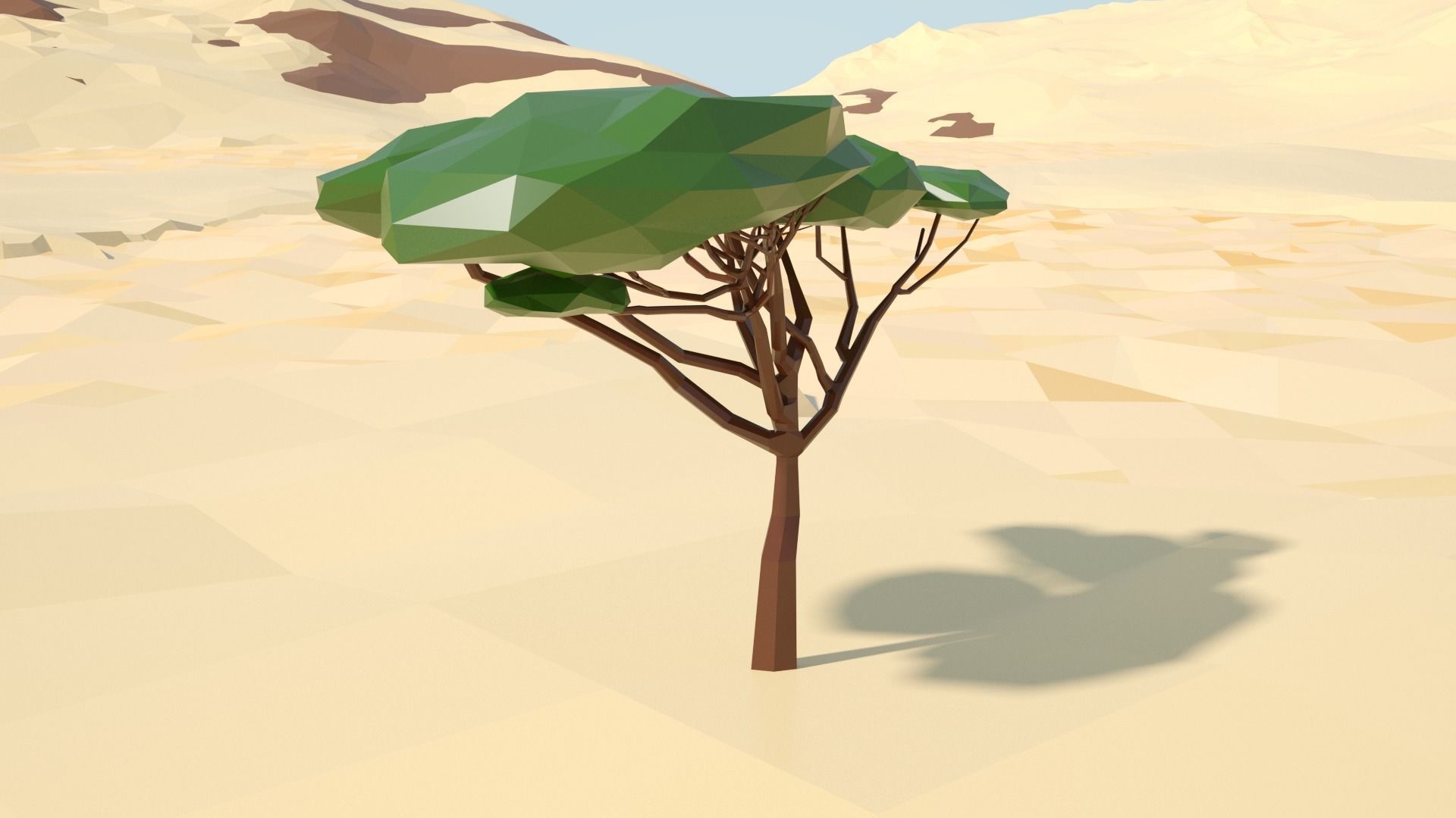 Acacia tree stylized model Low-poly 3D model_15