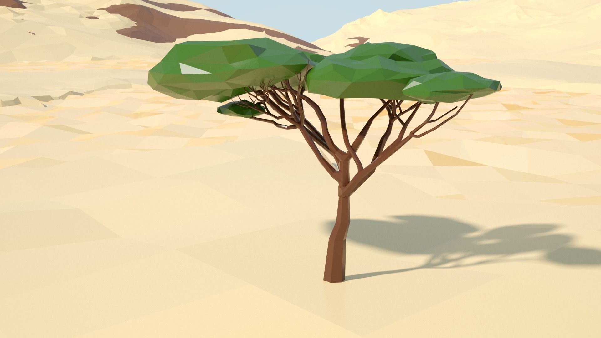 Acacia tree stylized model Low-poly 3D model_38