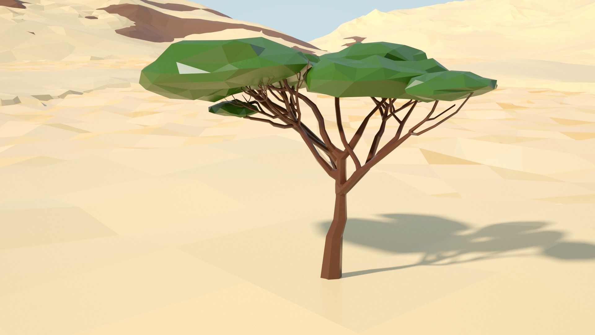 Acacia tree stylized model Low-poly 3D model_39