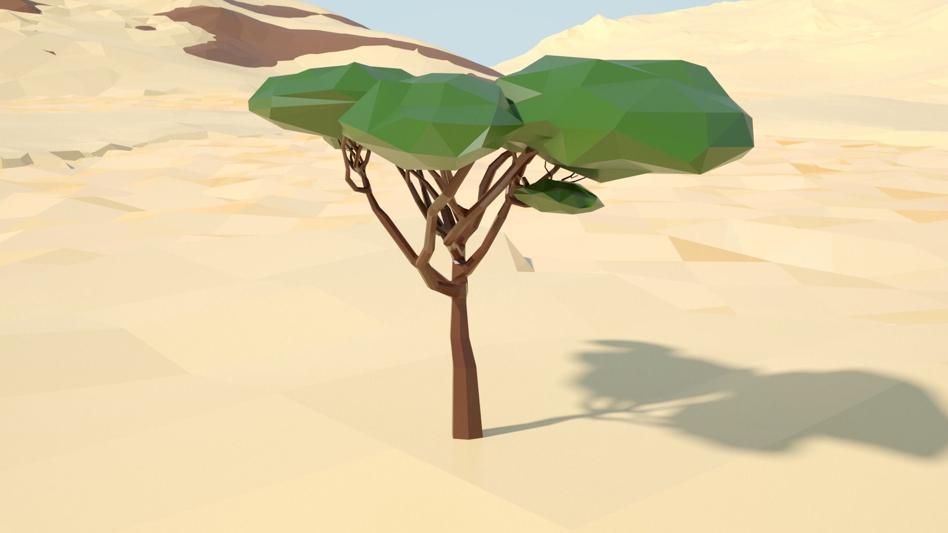 Acacia tree stylized model Low-poly 3D model_71