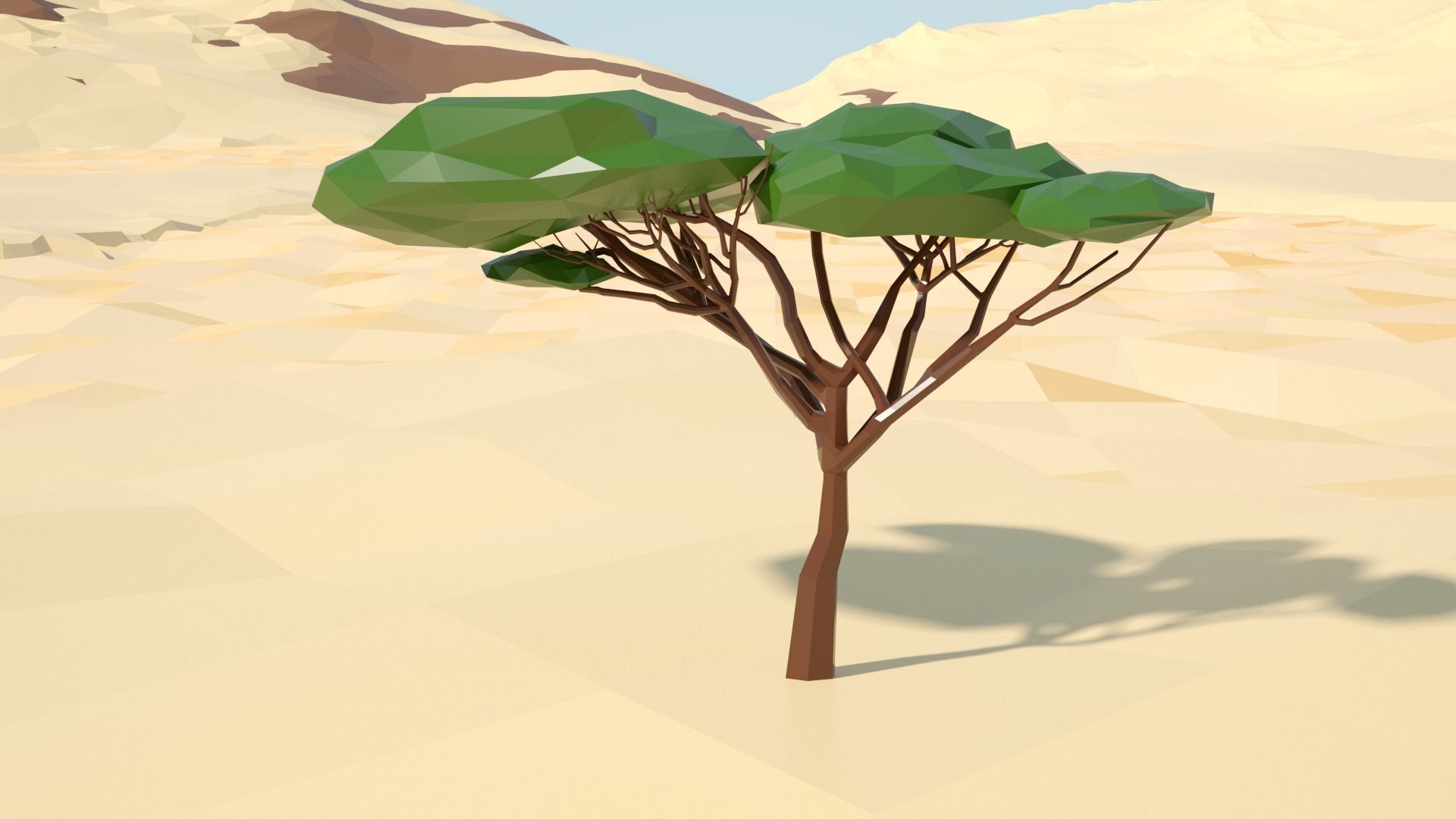 Acacia tree stylized model Low-poly 3D model_47