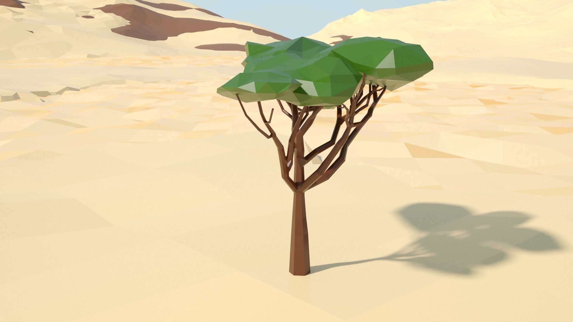 Acacia tree stylized model Low-poly 3D model_35