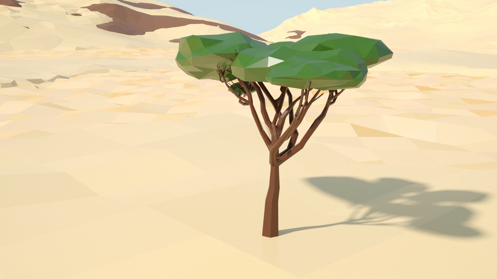 Acacia tree stylized model Low-poly 3D model_6