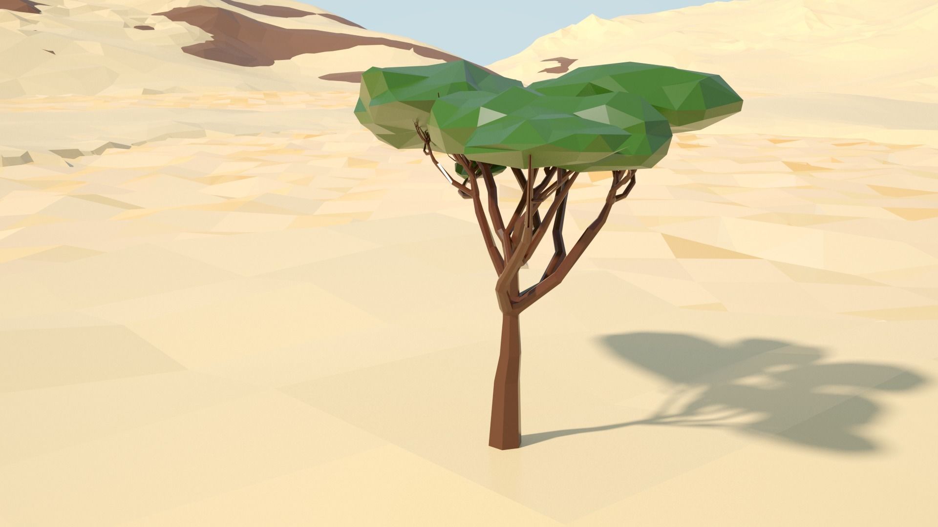 Acacia tree stylized model Low-poly 3D model_7