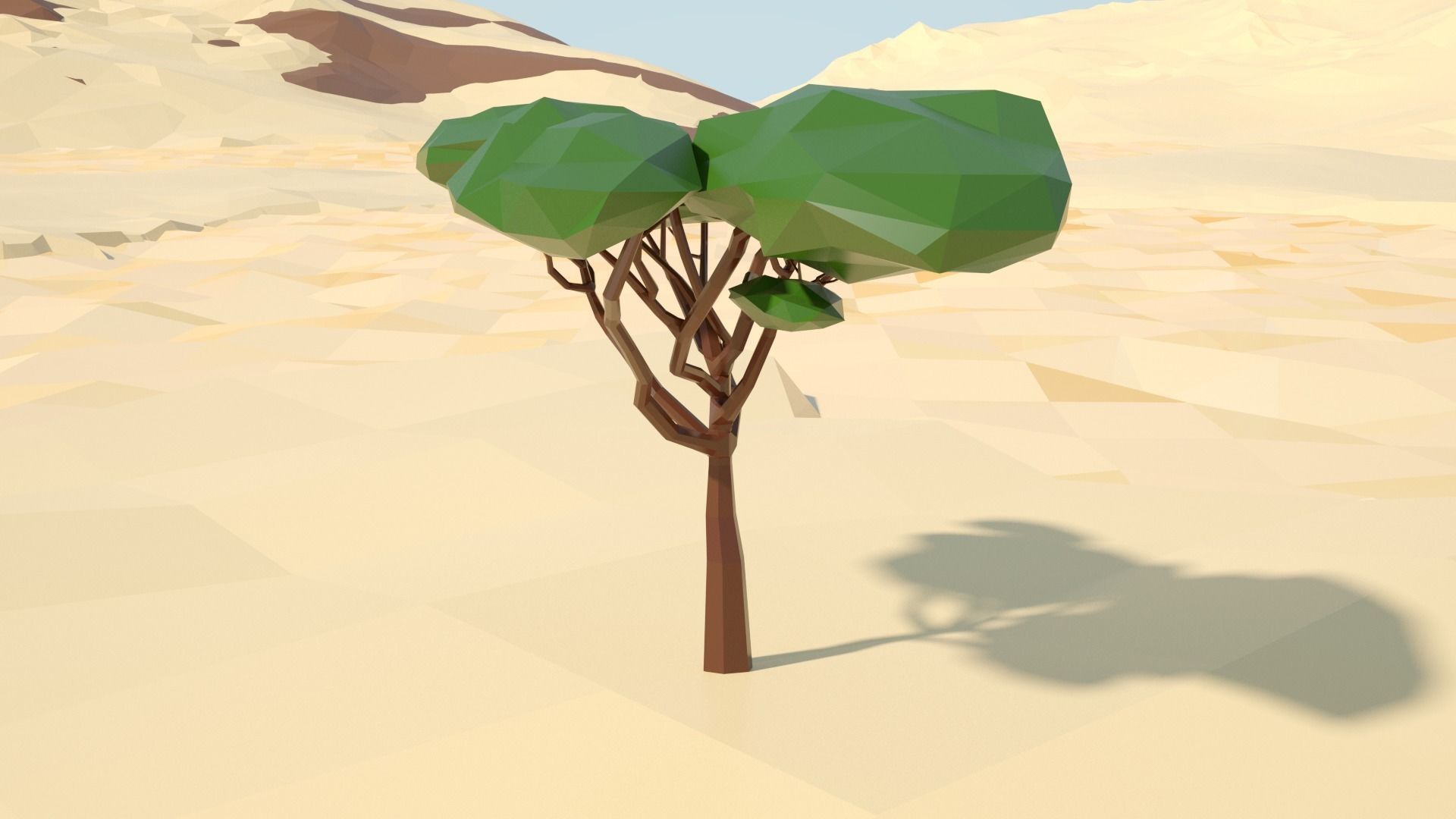 Acacia tree stylized model Low-poly 3D model_24