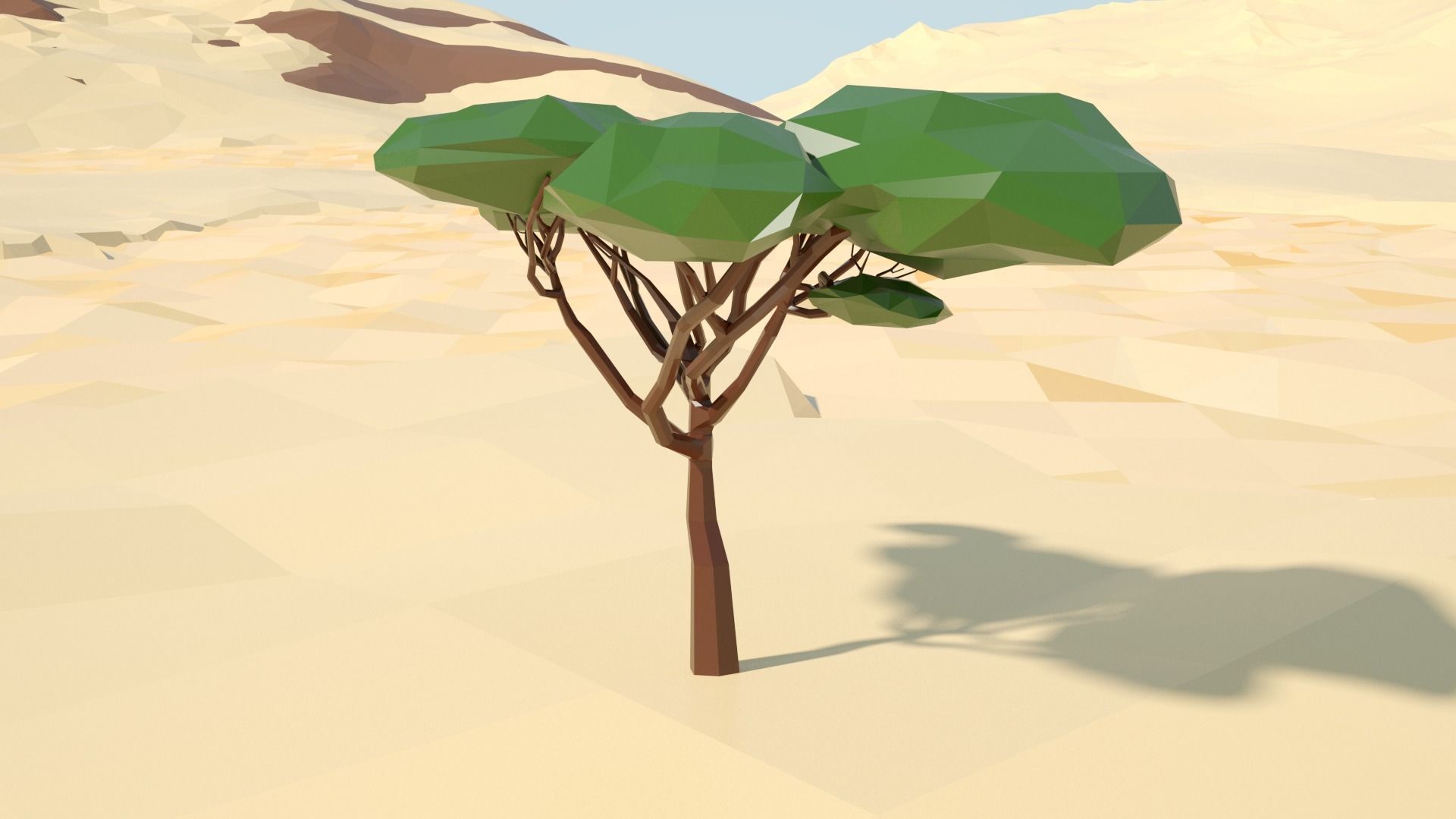 Acacia tree stylized model Low-poly 3D model_55