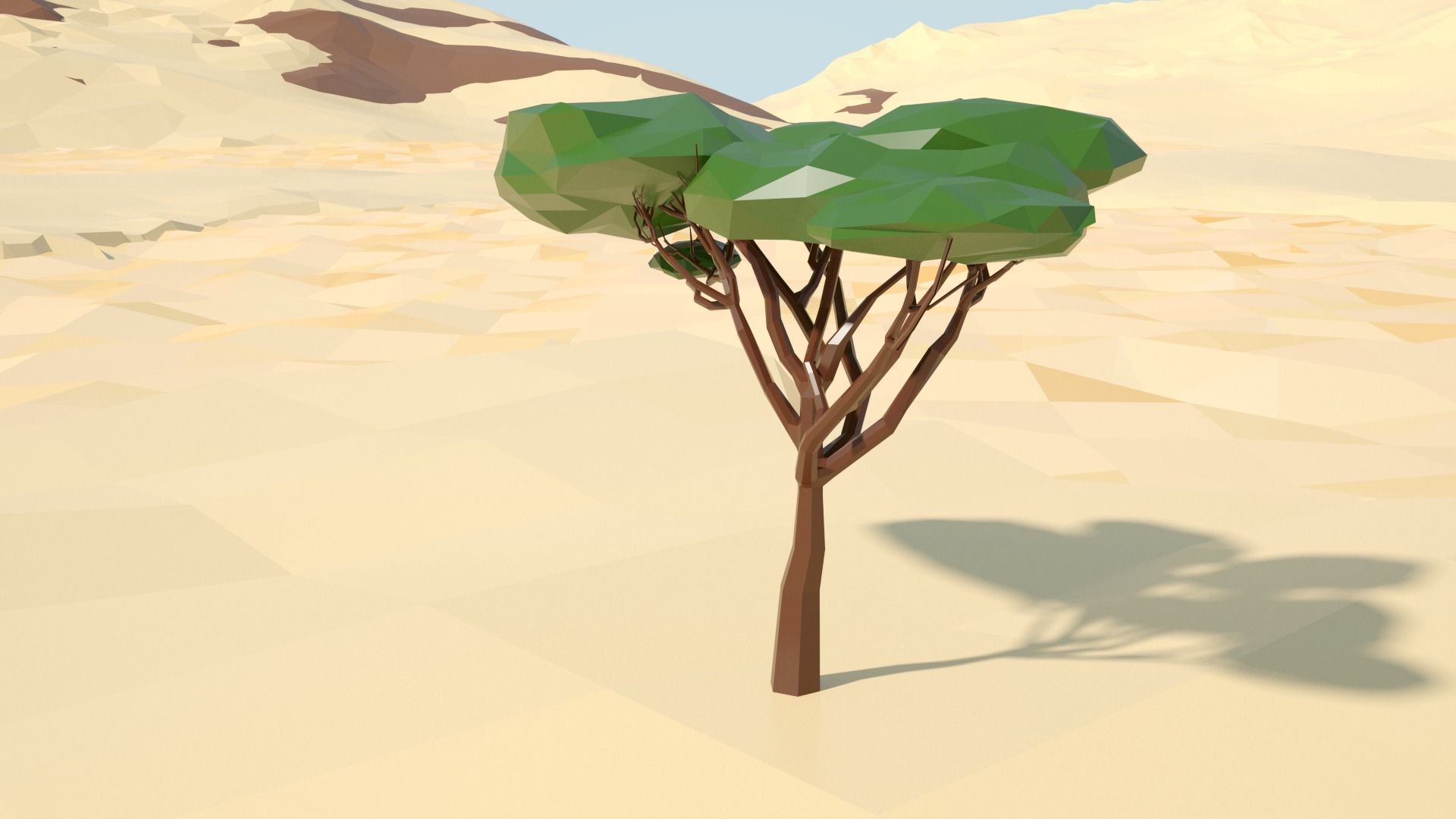 Acacia tree stylized model Low-poly 3D model_32