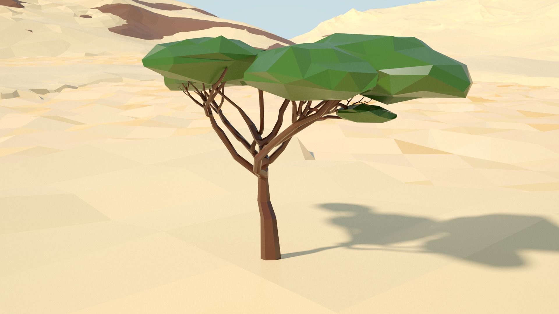Acacia tree stylized model Low-poly 3D model_61