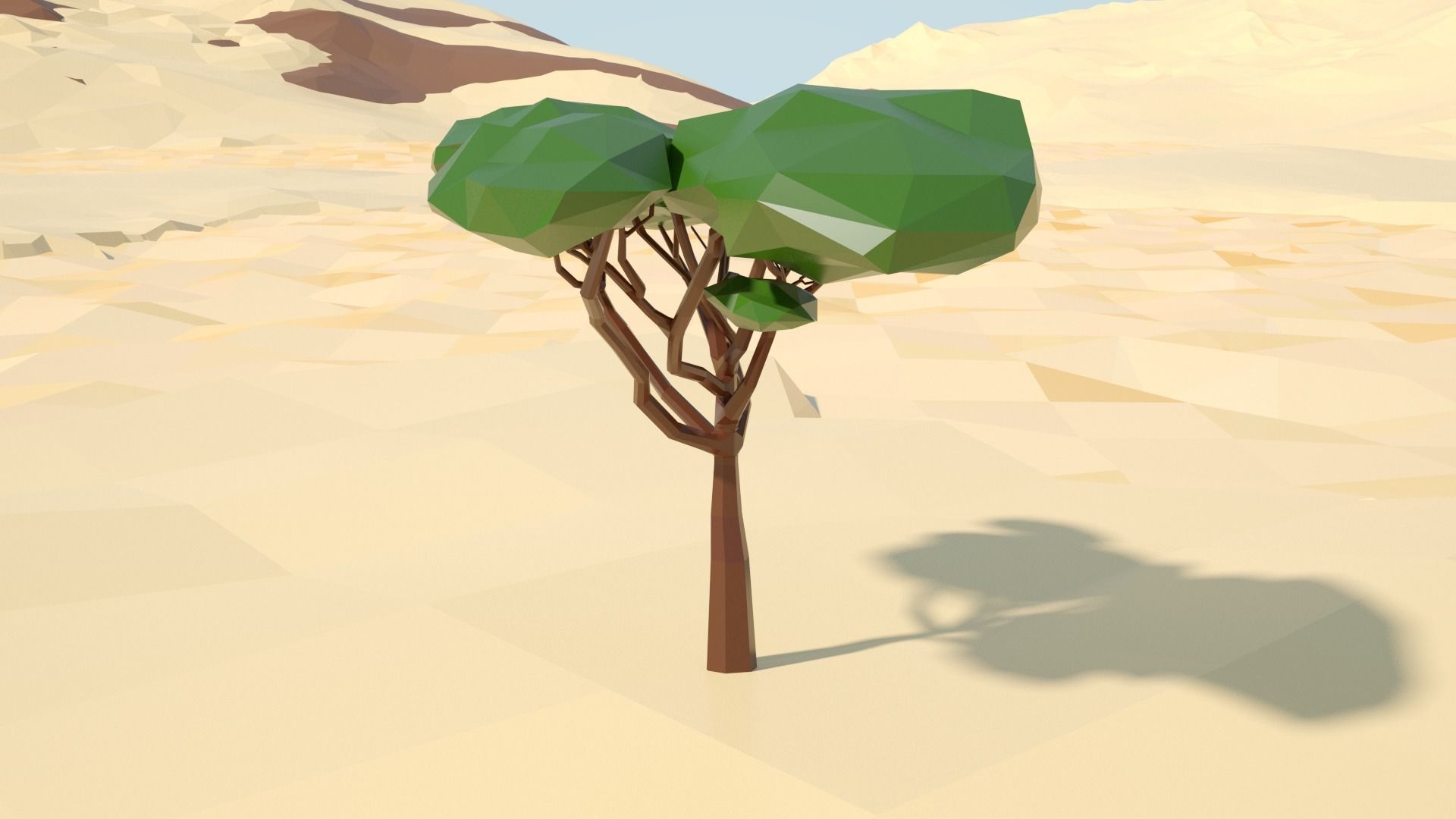 Acacia tree stylized model Low-poly 3D model_49