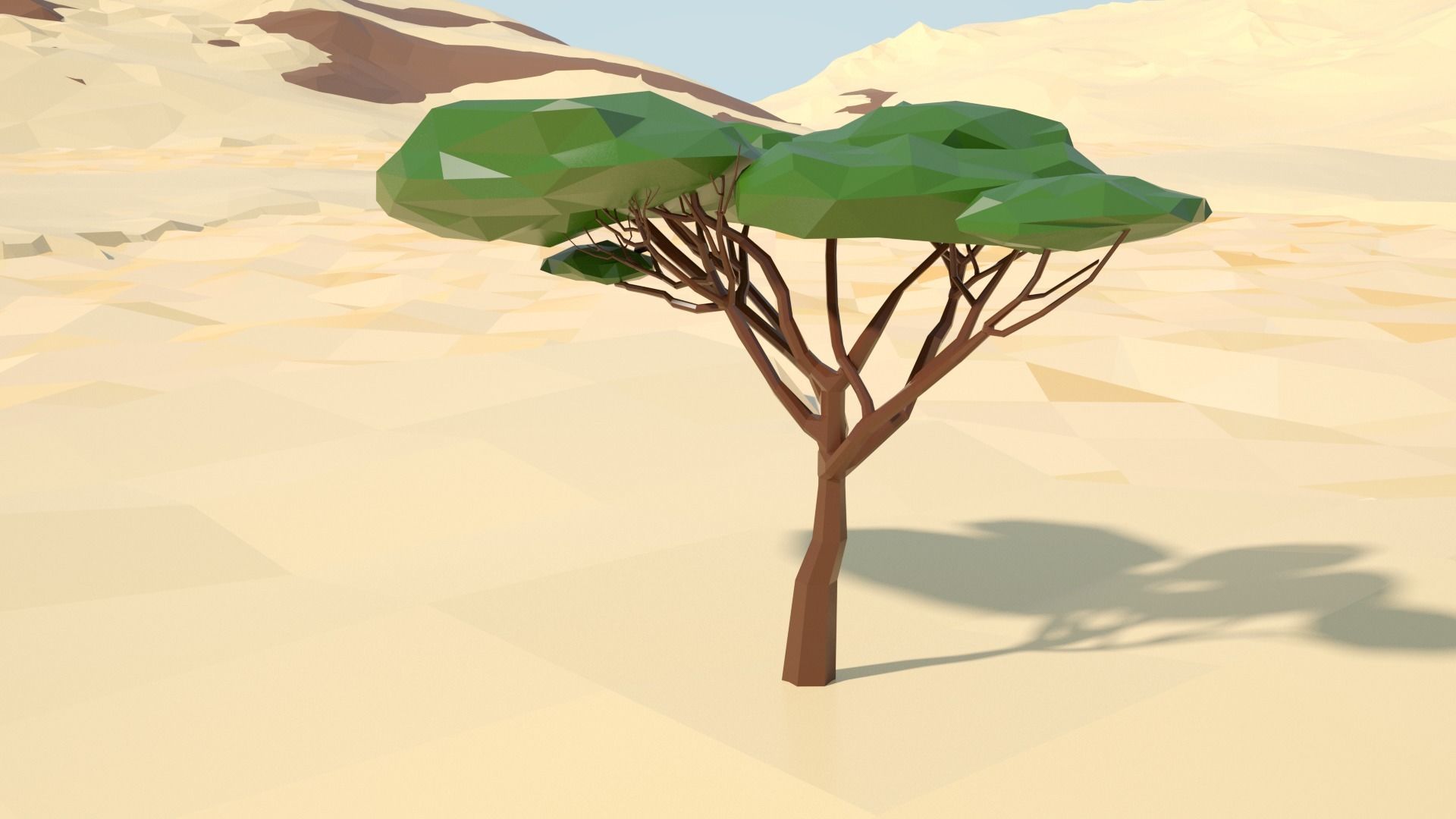 Acacia tree stylized model Low-poly 3D model_48