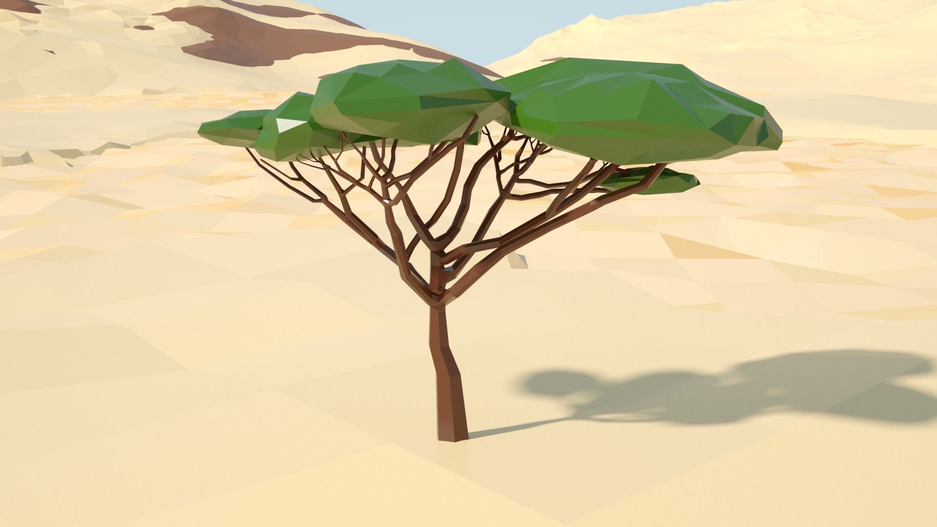 Acacia tree stylized model Low-poly 3D model_75