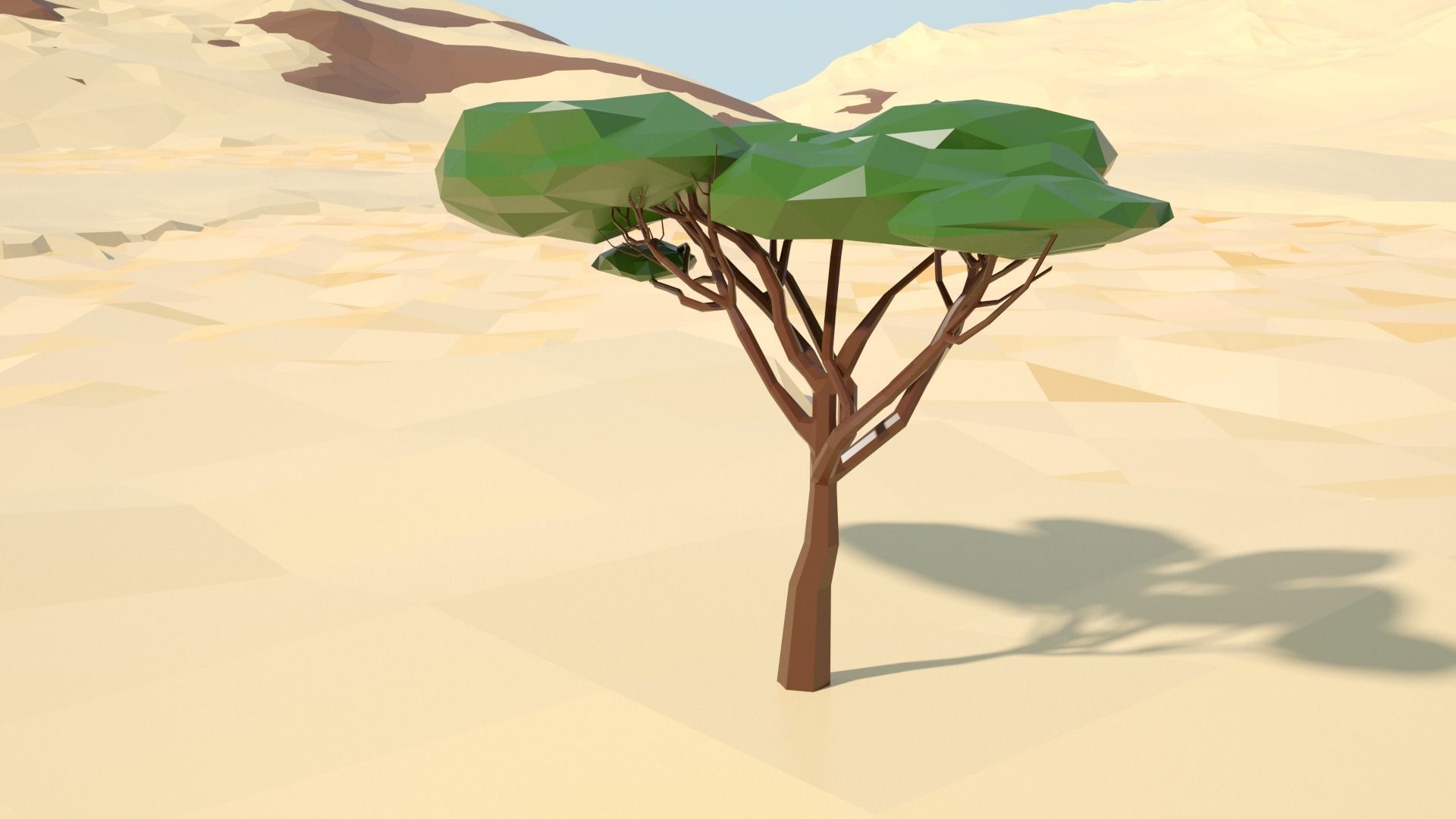 Acacia tree stylized model Low-poly 3D model_53