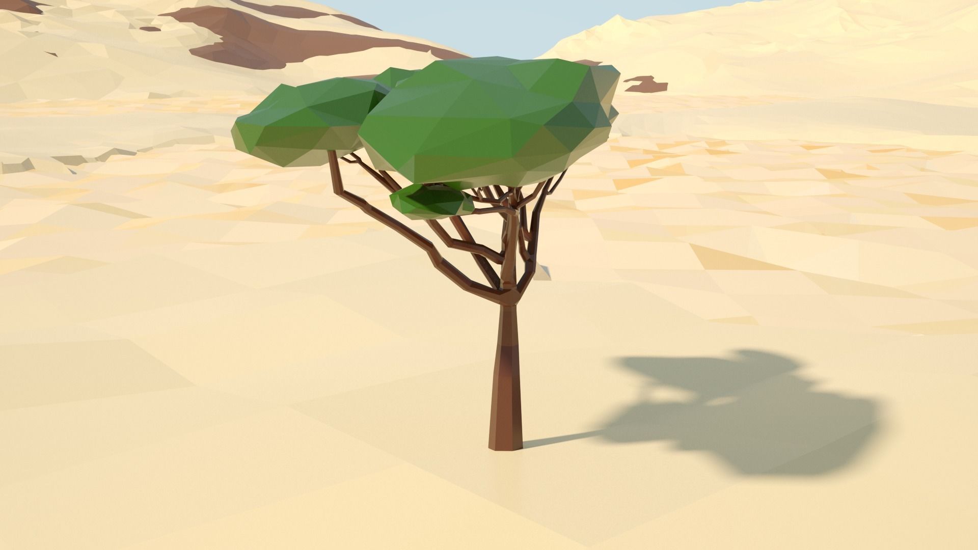 Acacia tree stylized model Low-poly 3D model_21