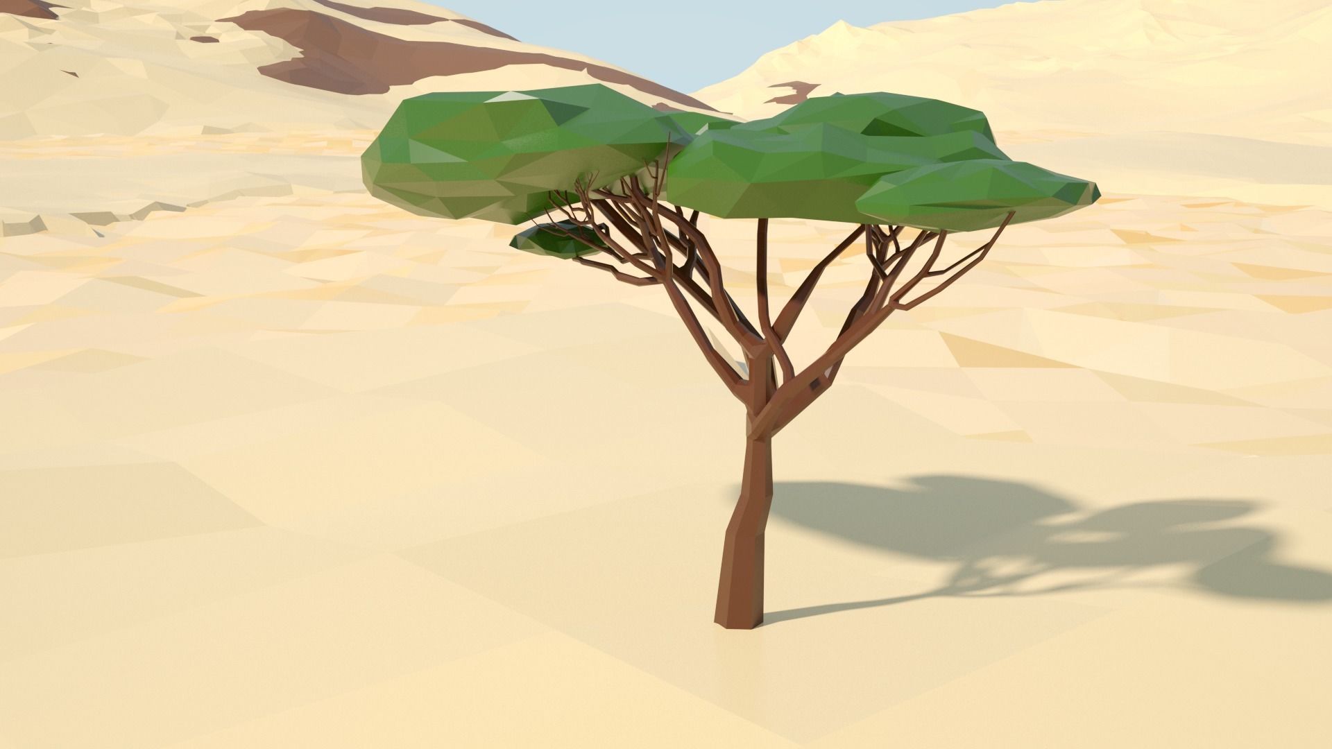 Acacia tree stylized model Low-poly 3D model_37