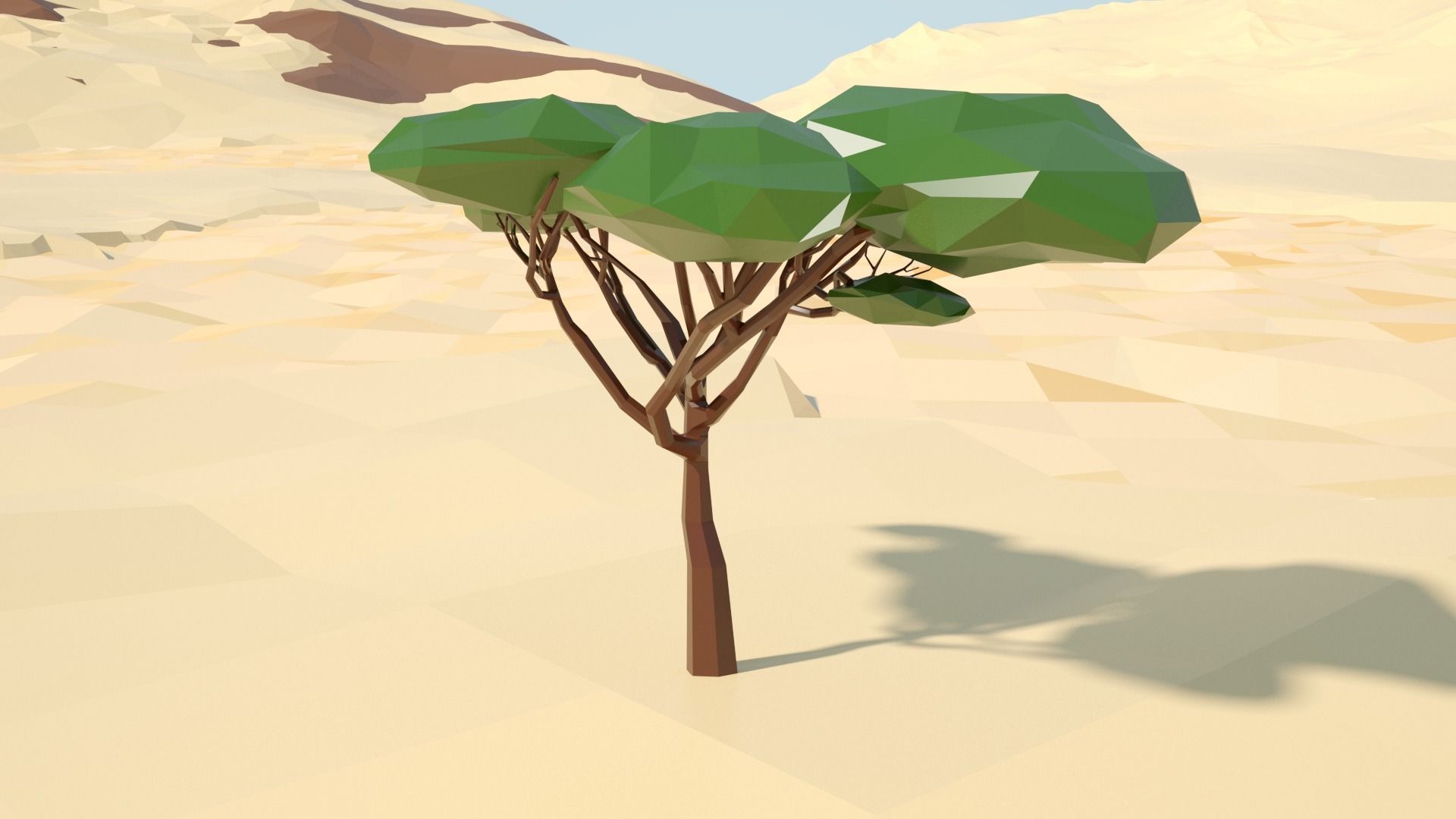 Acacia tree stylized model Low-poly 3D model_45