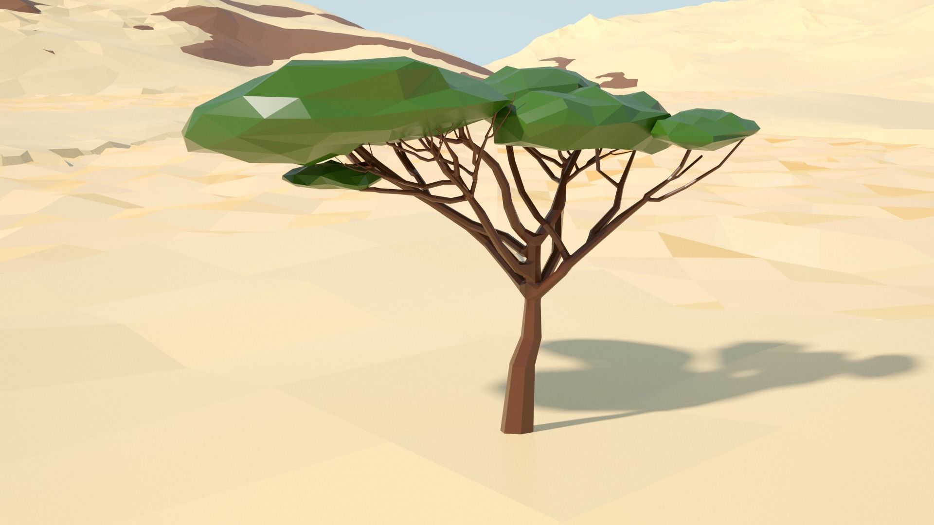 Acacia tree stylized model Low-poly 3D model_76