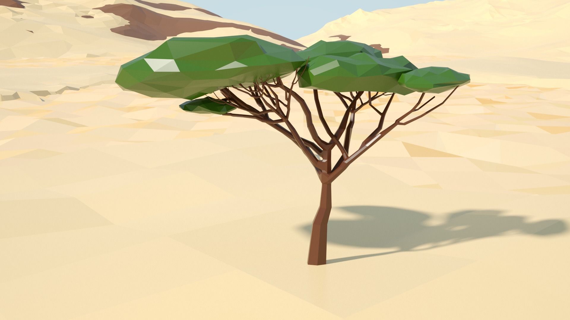 Acacia tree stylized model Low-poly 3D model_44