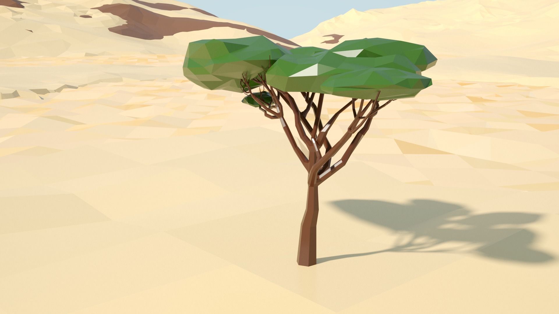 Acacia tree stylized model Low-poly 3D model_31