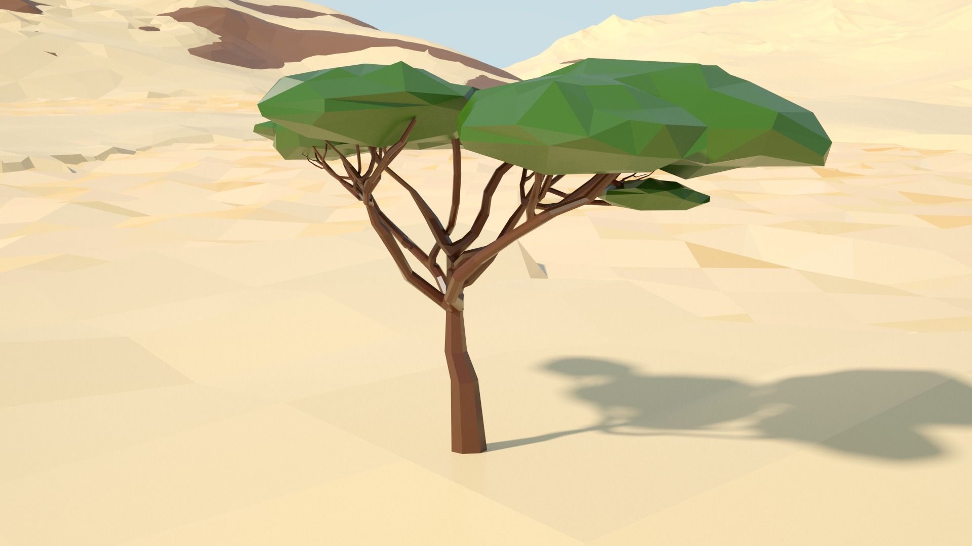 Acacia tree stylized model Low-poly 3D model_59
