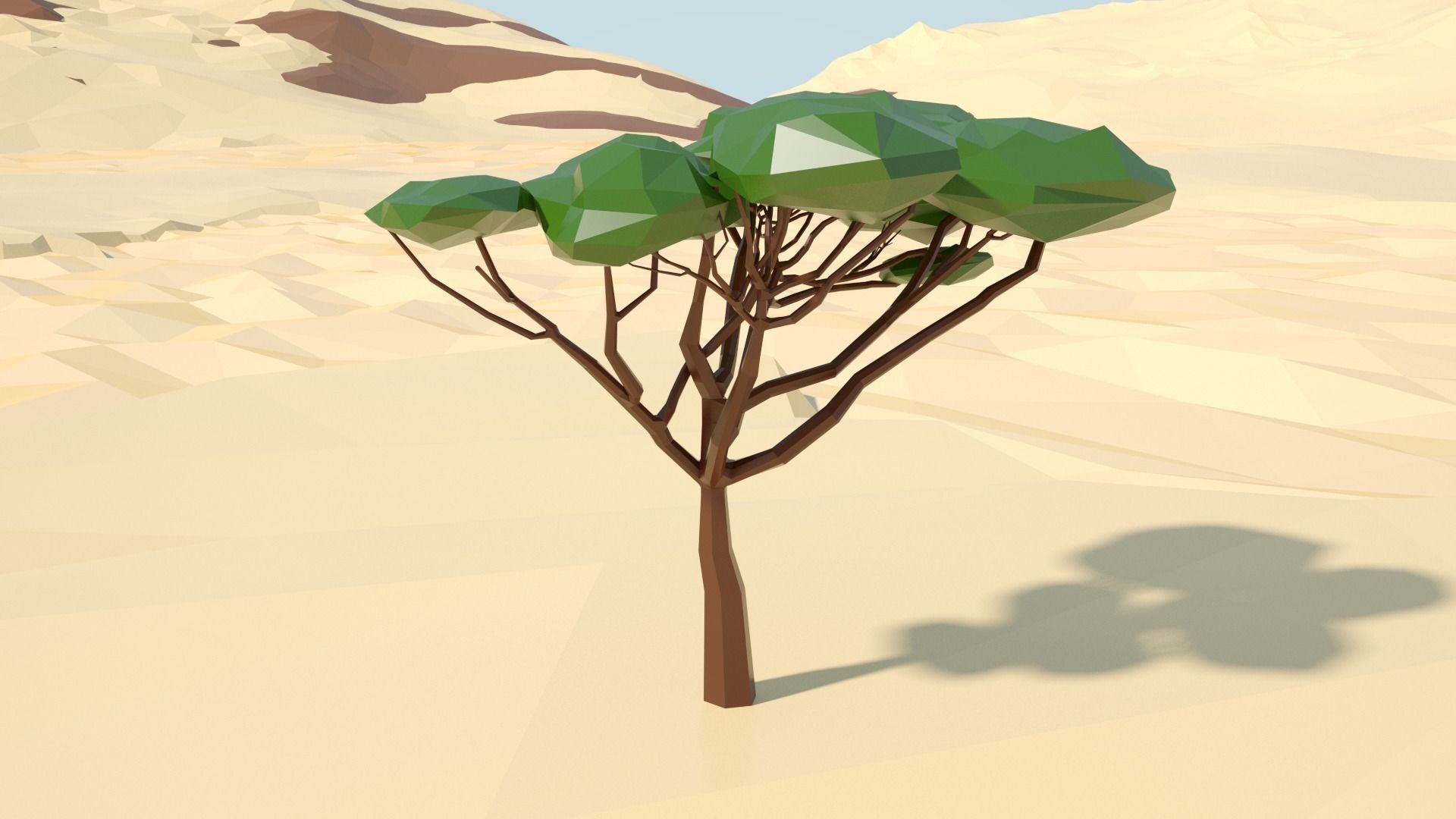 Acacia tree stylized model Low-poly 3D model_5