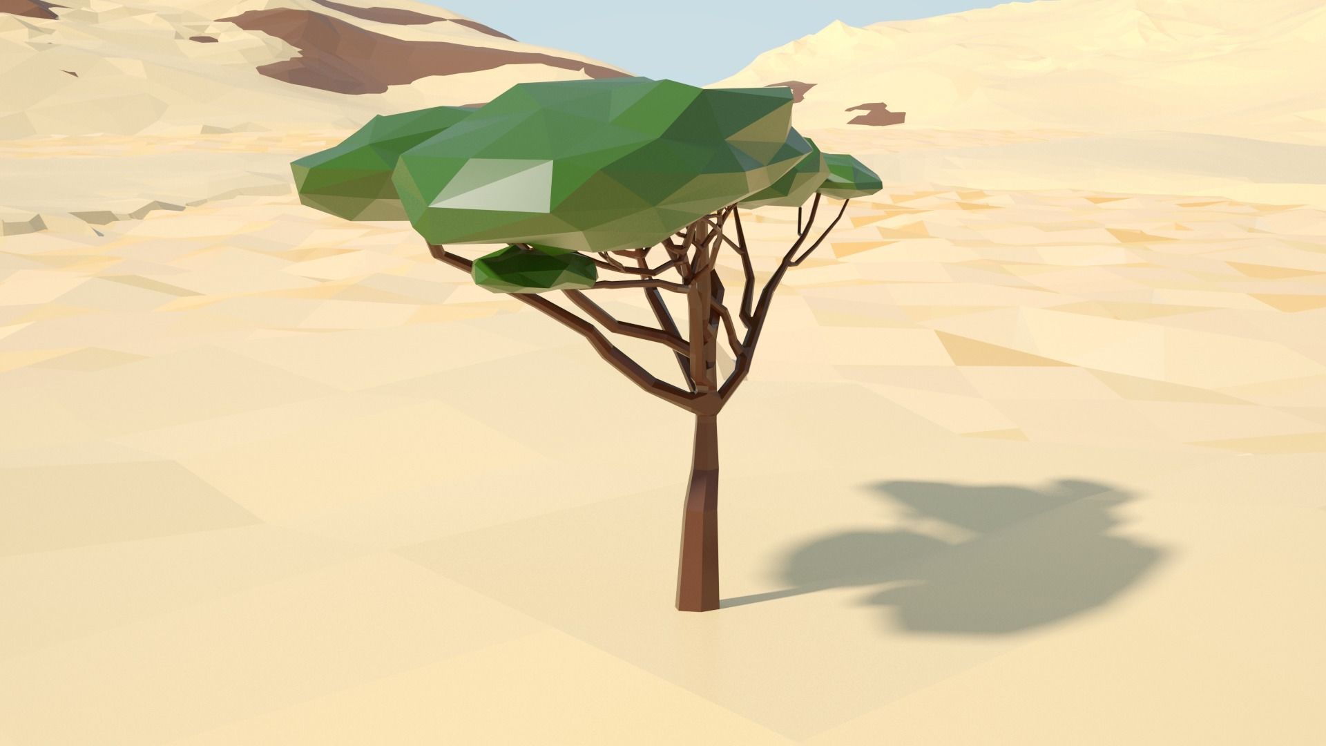 Acacia tree stylized model Low-poly 3D model_16