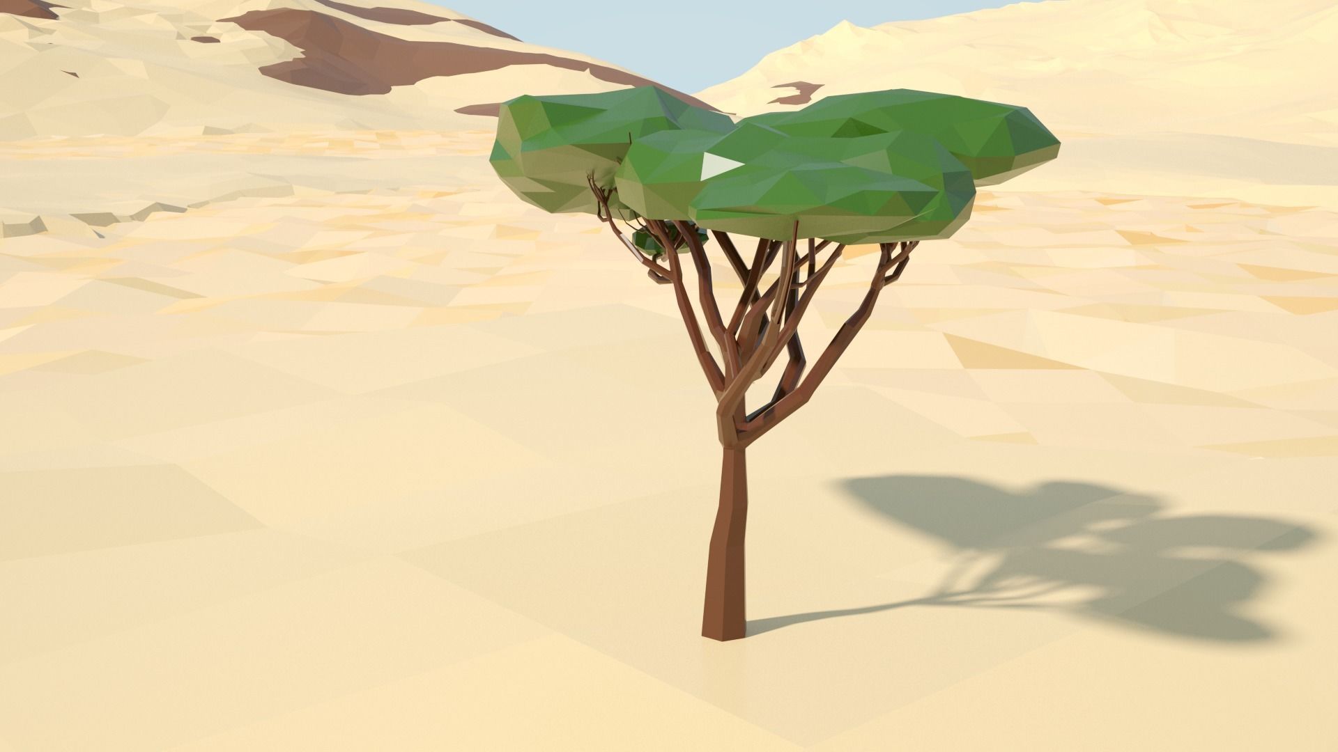 Acacia tree stylized model Low-poly 3D model_4