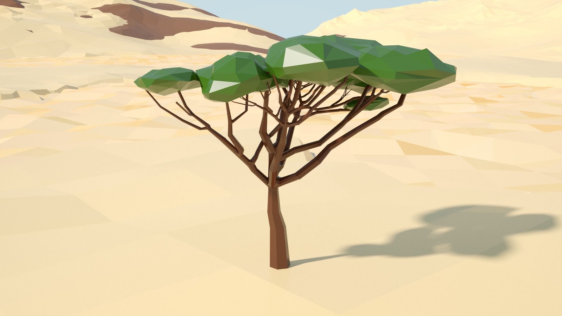 Acacia tree stylized model Low-poly 3D model_70