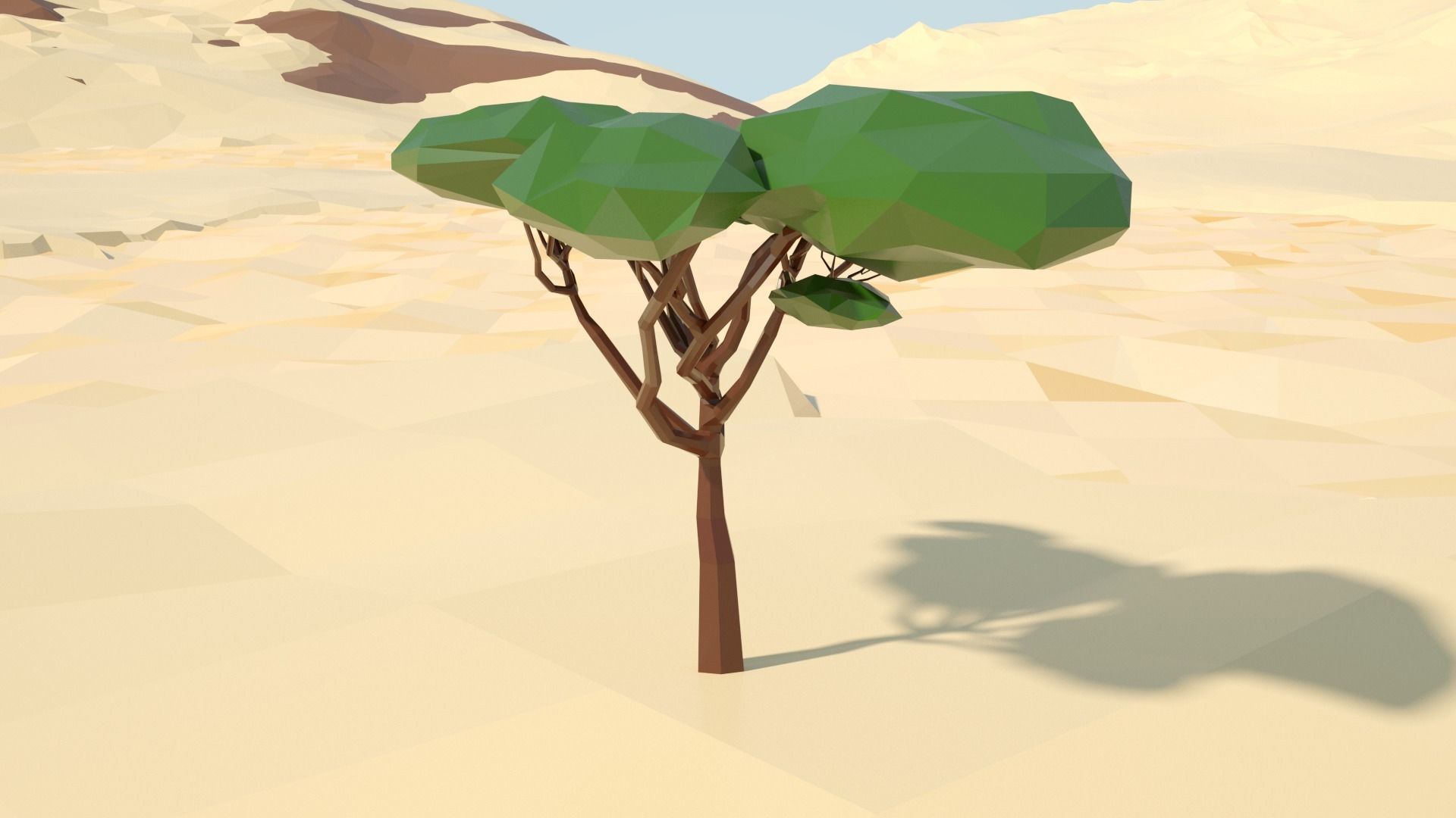 Acacia tree stylized model Low-poly 3D model_66