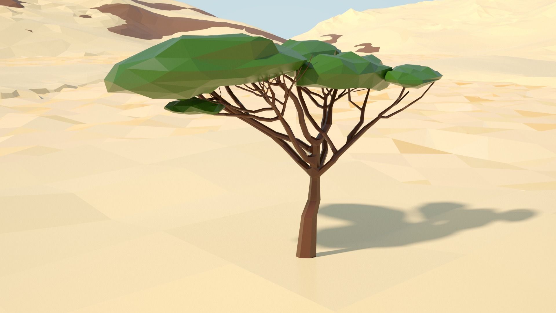 Acacia tree stylized model Low-poly 3D model_46