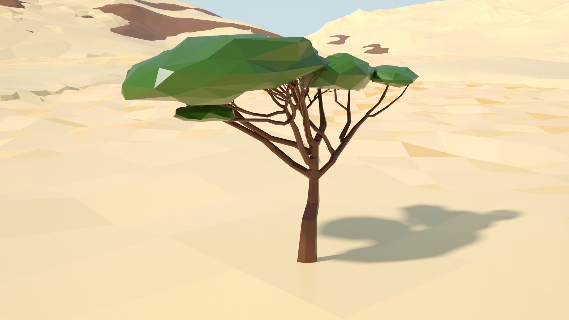 Acacia tree stylized model Low-poly 3D model_54