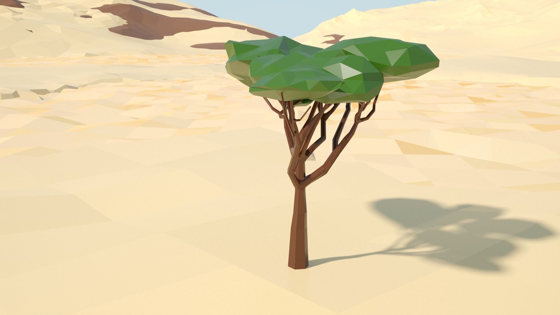 Acacia tree stylized model Low-poly 3D model_3