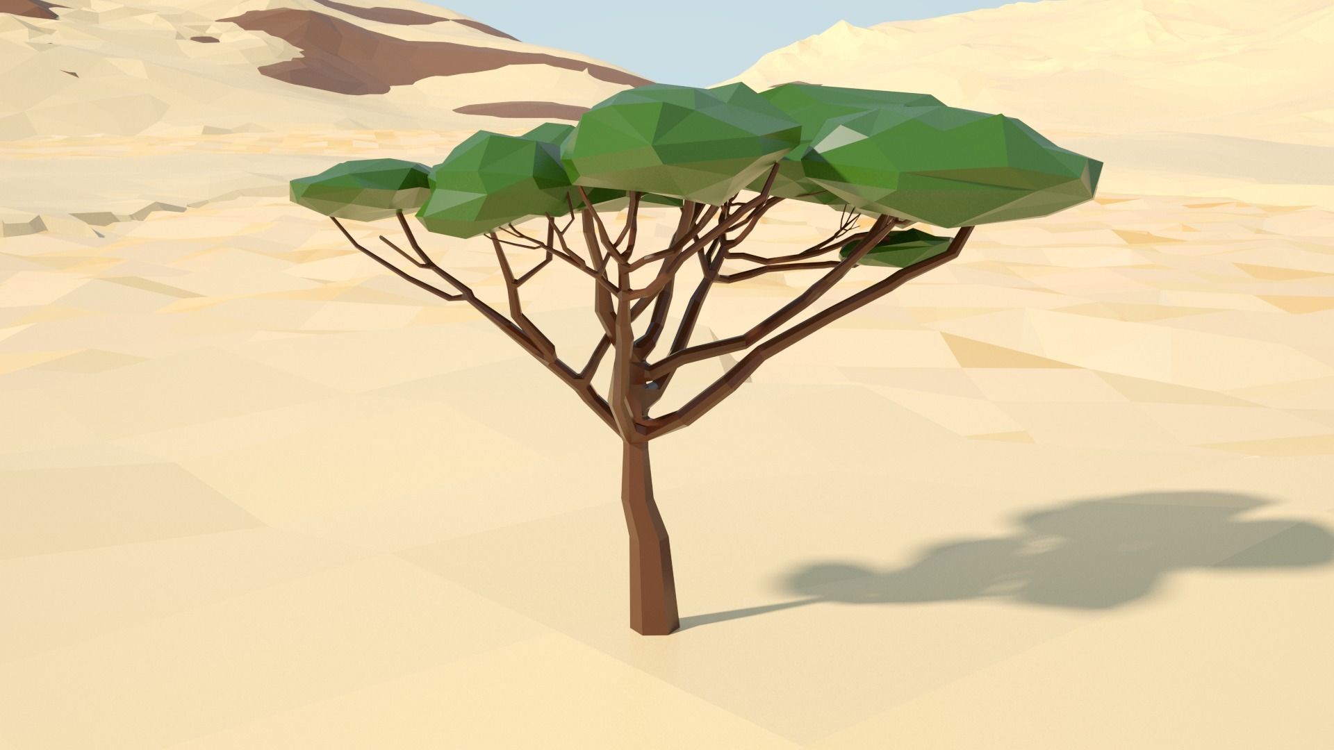 Acacia tree stylized model Low-poly 3D model_67