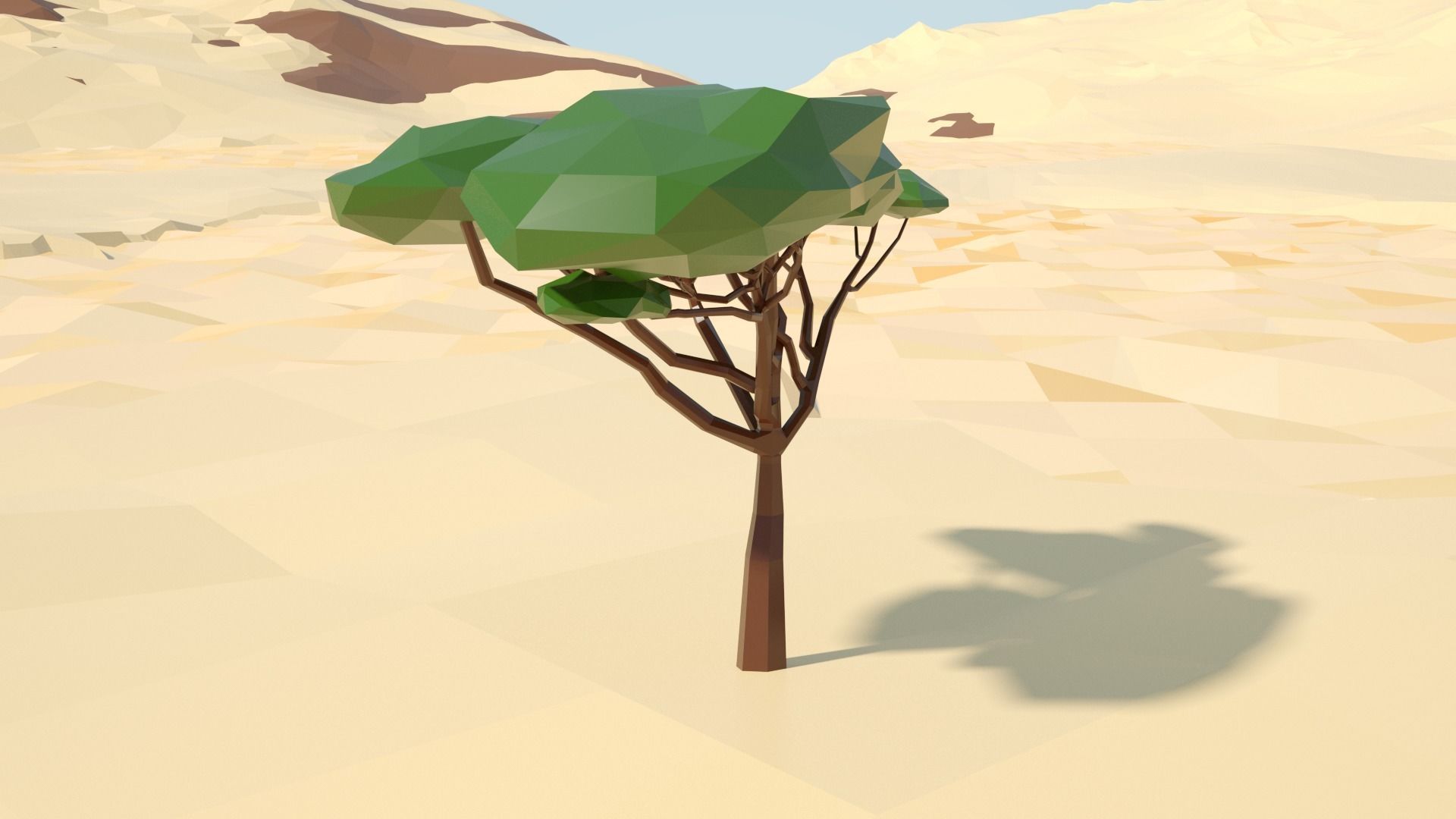 Acacia tree stylized model Low-poly 3D model_19