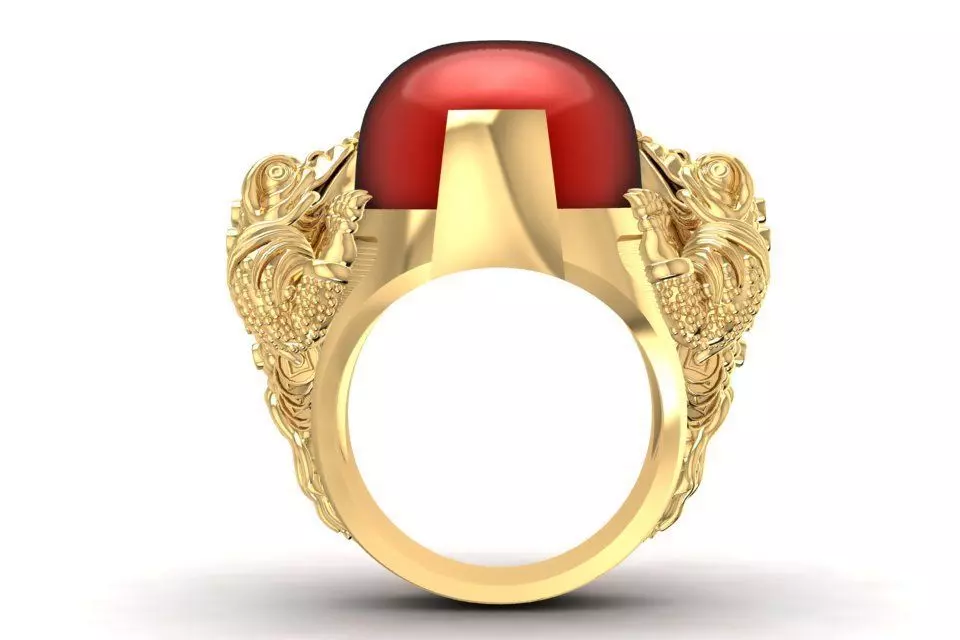 Feng Shui Dragon Red Agate Ring for Men 1954 3D print model
