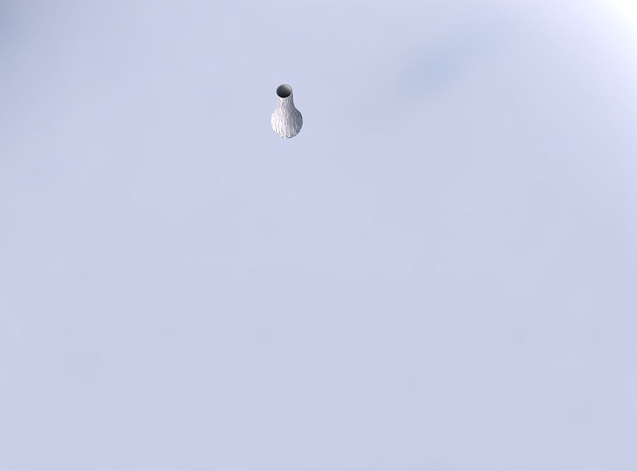 Vase curved 2 with organic dents 3D print model_2