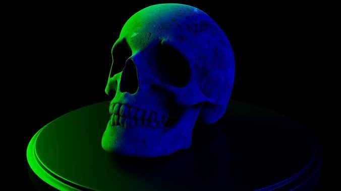 Human Skull Free 3D print model