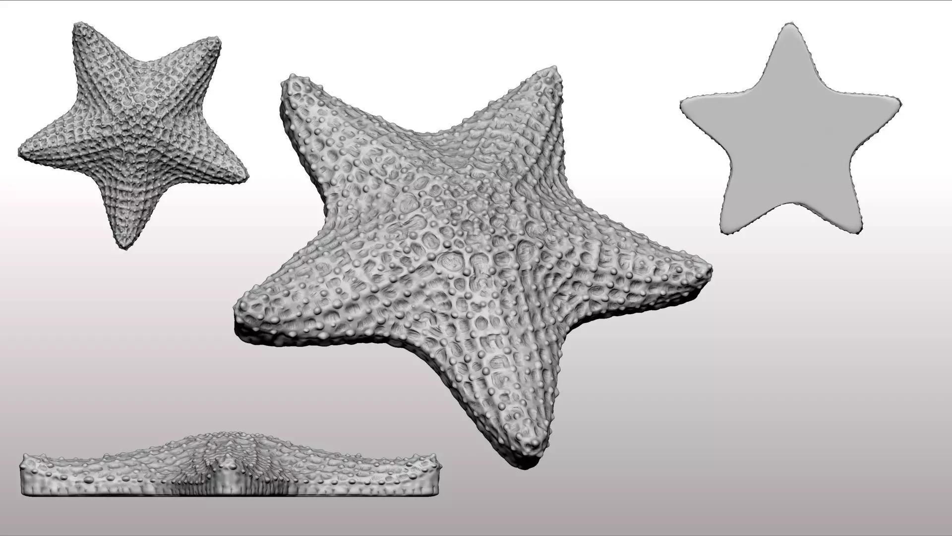 Starfish 3d Print 3D print model_0