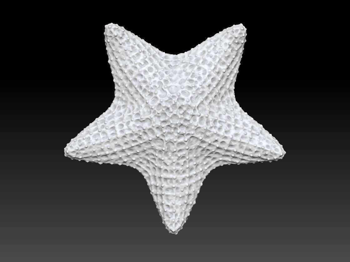 Starfish 3d Print 3D print model_1