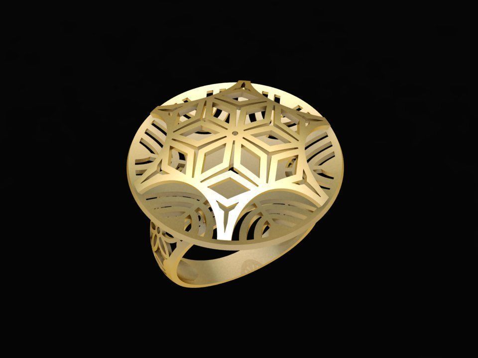 3D Jewelry Set Hexagon Geometric Ring Earrings Bracelet Pen 2128 3D print model_4