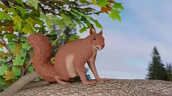 Low Poly Squirrel 3D model with texture and Rigg Low-poly 3D model