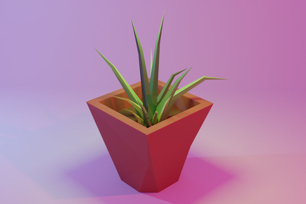 documentation of plants Plantopedia: The Definitive Guide to Houseplants main image 1