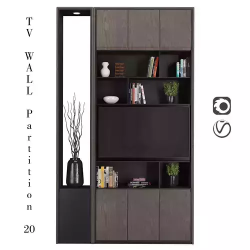 TV Wall partition 20